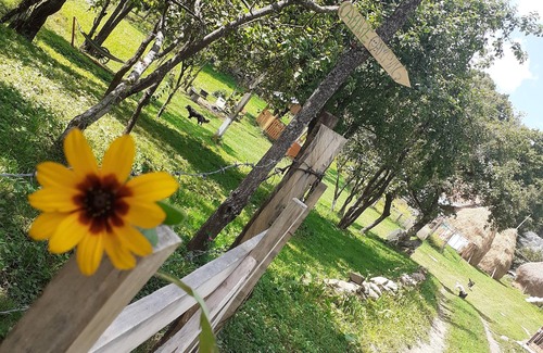 Rosia Montana House | Room in Guest Room - Healthy Retreat Holiday in Mountain