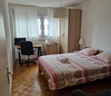 Saint-Jean and Charmilles House | Room in Shared Apartment Geneva
