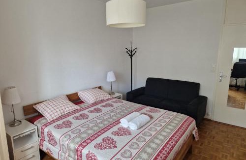 Saint-Jean and Charmilles House | Room in Shared Apartment Geneva
