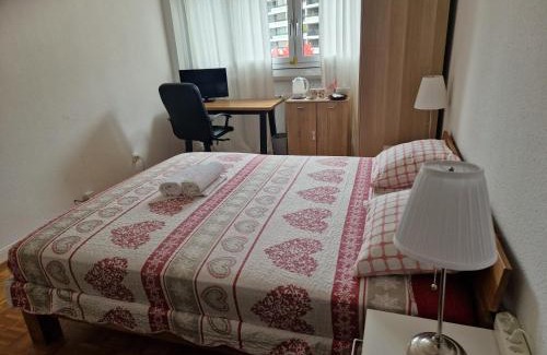 Saint-Jean and Charmilles House | Room in Shared Apartment Geneva