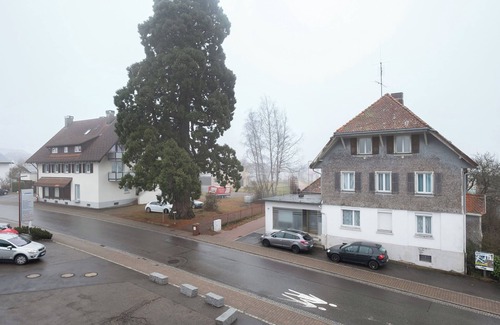 Uehlingen-Birkendorf Apartment | Room 'Nr 3' with Balcony and Wi-Fi