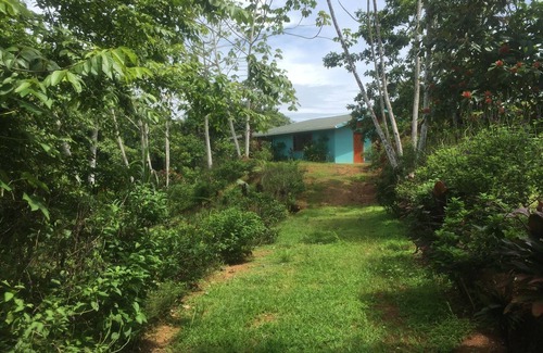Drake Bay House | Room-villa With Primary Forest View