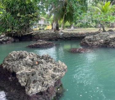 Cahuita House | Roomsmagicoco