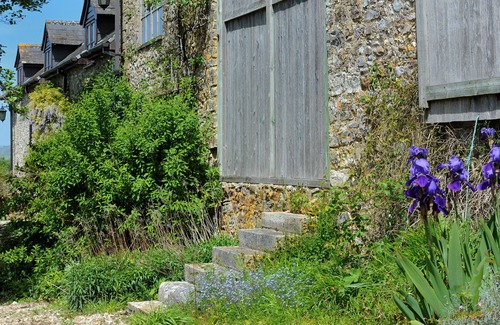 Axminster Cottage | Rose Cottage