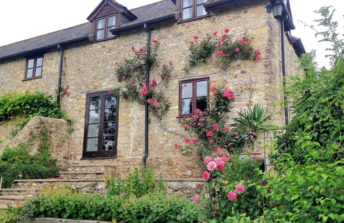 Axminster Cottage | Rose Cottage