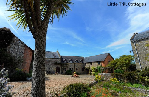 Axminster Cottage | Rose Cottage