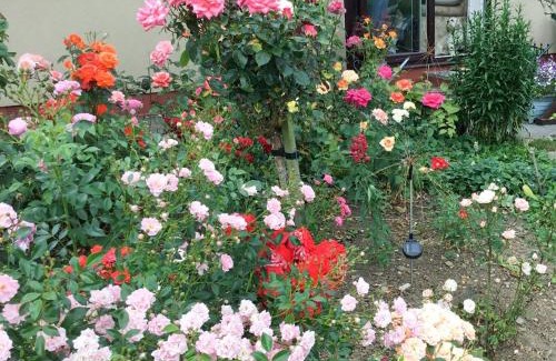 Heligan House | Rose Cottage