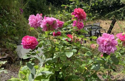 East Portlemouth House | Rose Cottage