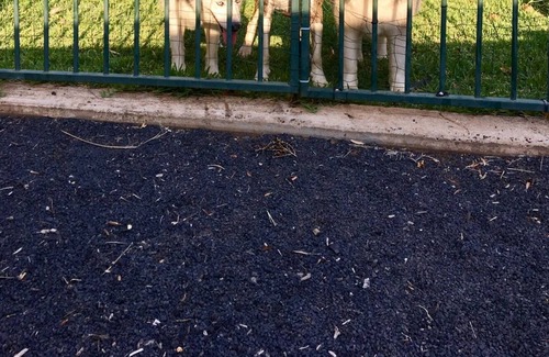 Dubbo Cottage | Rose Cottage - Pet and Family Friendly Accommodation