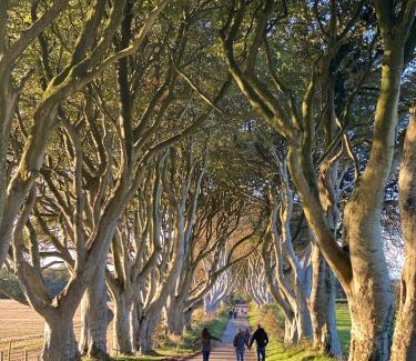 Glenarm Villa | Rose House