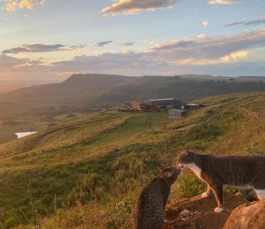 Mpofana House | Rose Mountain Cottage