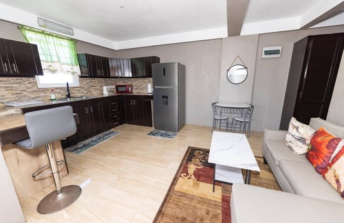 Canefield Apartment | Roseau Canefield Apartment - Fully Equipped Kitchen, A/C, Queen Beds, Wi-Fi