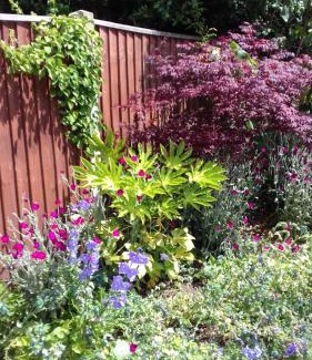 Hopton House | Rosebud cottage