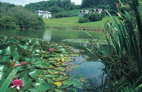 Liskeard Cottage | Rosecraddoc Manor - Heron