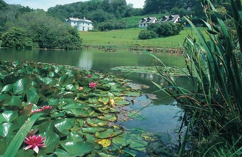 Liskeard House | Rosecraddoc Manor - Natalie Jane