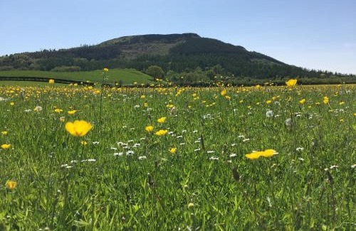 Carlton-in-Cleveland Other | Rosemary Shepherds Hut, Clay Bank Huts