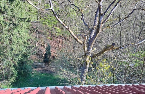 Bad Marienberg Apartment | Rosenthal vacation apartment - 4-bed apartment