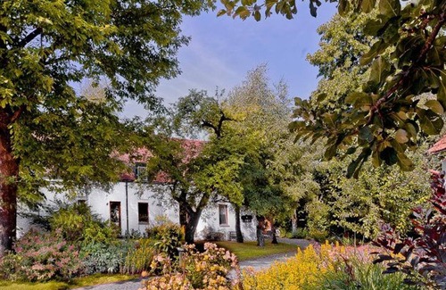 Graefenberg Apartment | Rosenblüte - Genusshof Pingold
