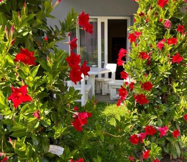Pinzolo Villa | ROSENSUITE La Residenza del rosengarten