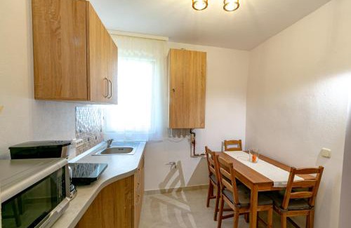 Sighisoara Apartment | Rosenthal House
