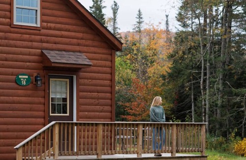 Bethlehem Cabin | Rosewood Villa: Spacious 2BR Log Cabin