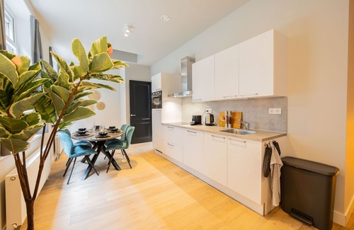Stadsdriehoek Apartment | Rotterdam Oasis 3 BDR apartment JUF
