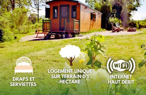 Antully Ski Chalet | Roulotte & Forêt - Evasion Bohème en Bourgogne