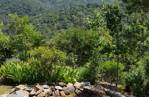 Wilderness Apartment | Round the Bend