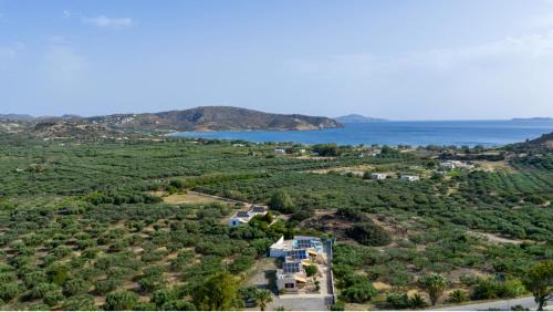 Vigla Apartment | Rousolakos Pool Apartments