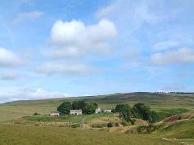 Newcastle-upon-Tyne House | Rowan Cottage-80119