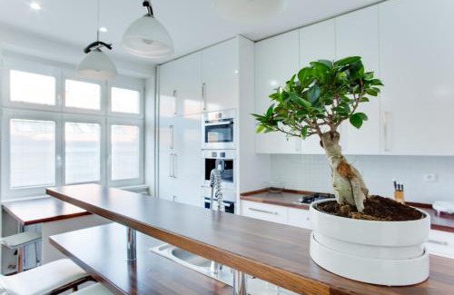 Vysehrad Apartment | Royal Apartment near river - Nek4th