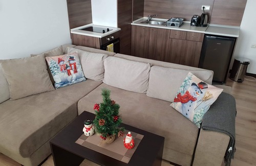 Shiligarnika Apartment | Royal Bansko Aparthotel 206D