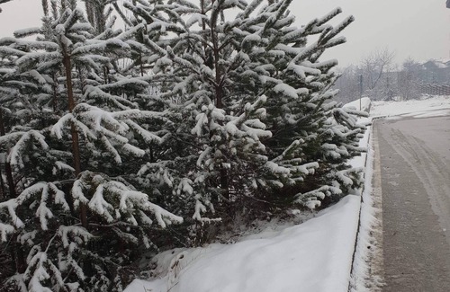 Shiligarnika Apartment | Royal Bansko Aparthotel 206D
