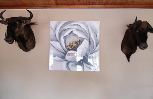 Middelburg House | Royal guest lodge