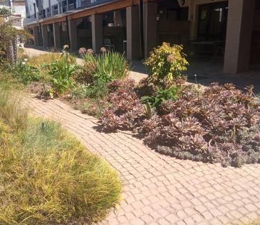 Downtown Johannesburg Bed & Breakfast | Royal Stina Hotel-style with Swimming pool