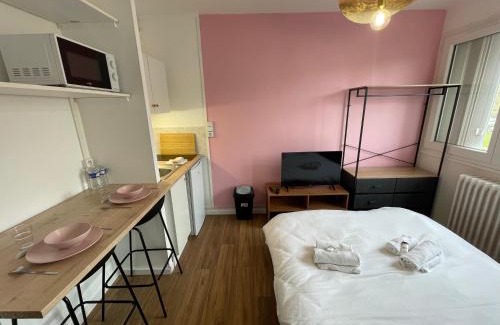 Le Chemin Vert Apartment | Roza, Studio proche centre ville