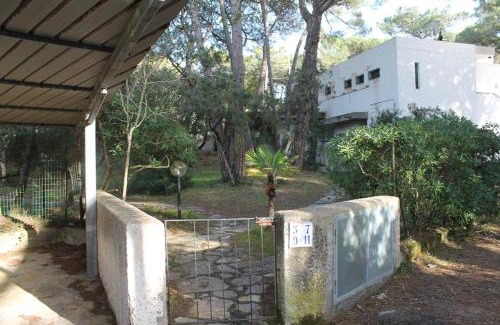 Marina di Castagneto Carducci Apartment | Rubino a soli 150m dal mare con posto auto