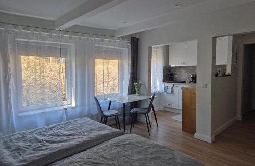 Flensburg Apartment | Ruhige Einzimmerwohnung