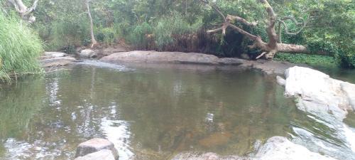 Anuradhapura Hotel | Ruhunupura guest