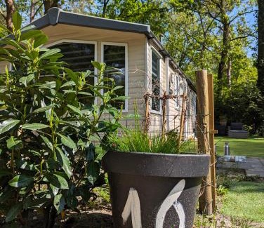 Nunspeet House | Ruim Chalet, midden in het bos!