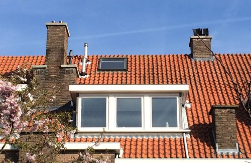 Vogelwijk House | Ruim Huis met Grote Tuin 10 Minuten Lopen Naar Strand en zee