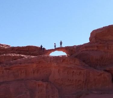 Wadi Rum Hotel | Rum bubble camp