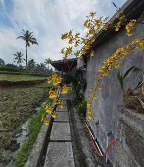 Tegallalang House | Rumah Kemuning Bali