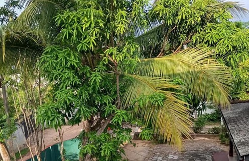 Rumassala House | Rumassala Heritage Villa