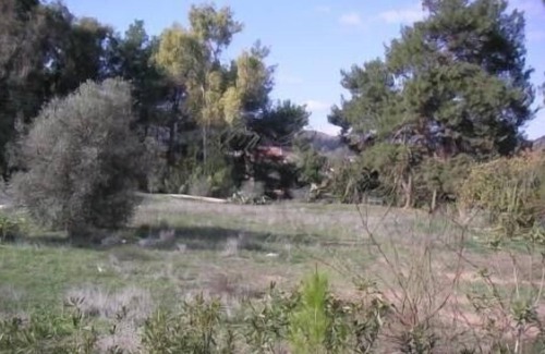 Psevdas House | Rural apartment in Cyprus