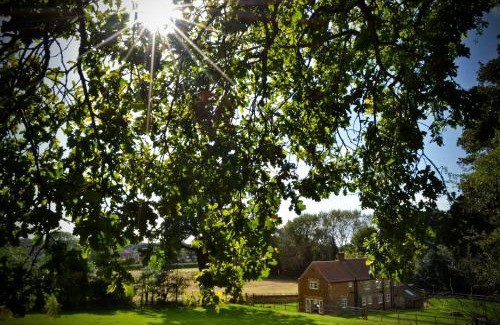 Ingoldisthorpe House | Rural Coastal Self-Catering Accommodation for 8, Near Sandringham Estate, Norfolk