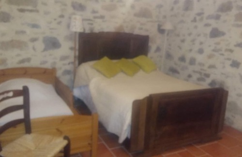 Rieucaze House | rural cottage (farm on farm)