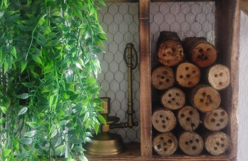 Cabana de Bergantinos Cottage | Rural house that you can fully enjoy. Near river, beaches, forest
