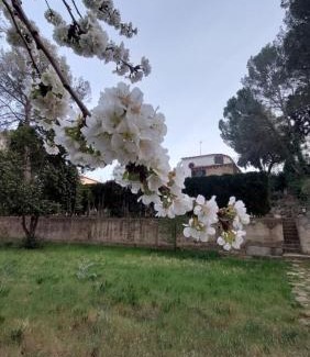 Siete Aguas House | Rural Kairós "Un espacio con alma"