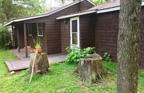 Oliverea Cabin | Rustic 3BR Cabin w/Wood Burning Fireplace + Creek